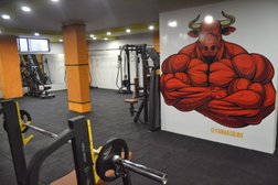 Gymnasium Fitness Club